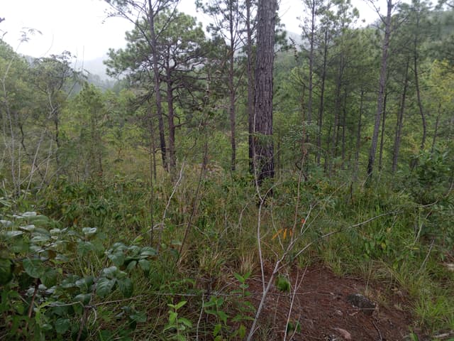 c39f9a37-c294-491c-b9b4-0fbb37a4d3c9