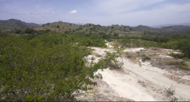 9d959ec6-d097-46d3-ab85-b34e8644655b