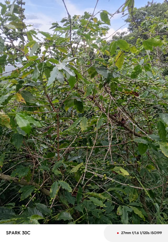 6ca05cf4-21ae-41b5-a167-21b771679032