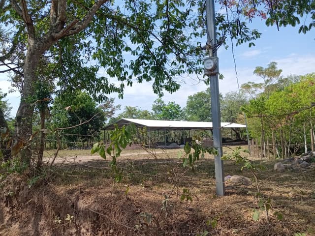 a88f2688-eaf4-4853-90bb-9edaa5b4cb0e