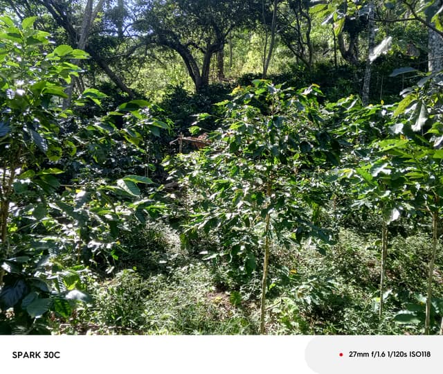 faca1fd7-b093-4602-92a1-867fcd222aee