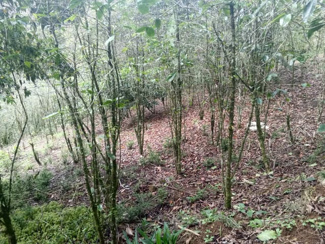 d1698813-3c5b-4381-9f9d-53d74816422d