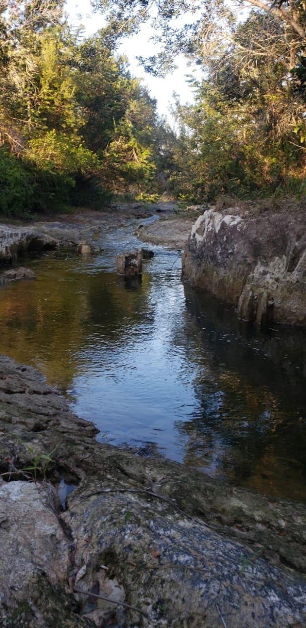 0b1e9171-cae7-4751-9765-c345cab23abf