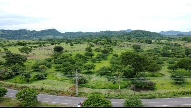 b5cee3d2-b32f-49f8-9299-ca2b1b898cac