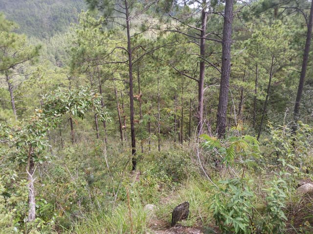 c39f9a37-c294-491c-b9b4-0fbb37a4d3c9