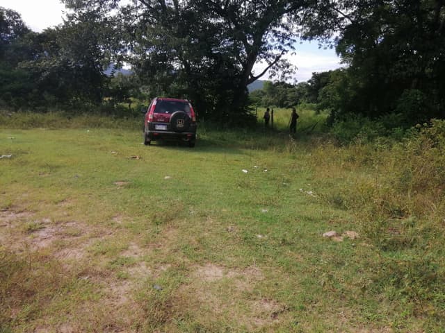 b75734cb-9398-41b0-a5fd-671e722a5b2d