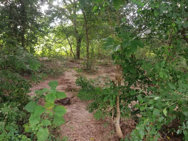 b75734cb-9398-41b0-a5fd-671e722a5b2d