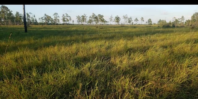 0b1e9171-cae7-4751-9765-c345cab23abf