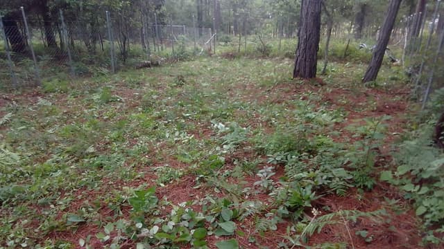 f04d17f3-1319-4385-8102-a3342bdd3216