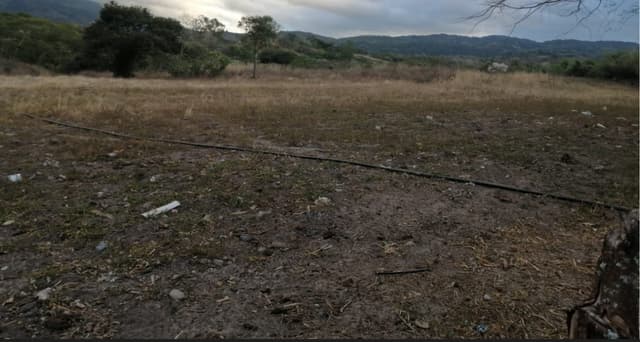 9d959ec6-d097-46d3-ab85-b34e8644655b