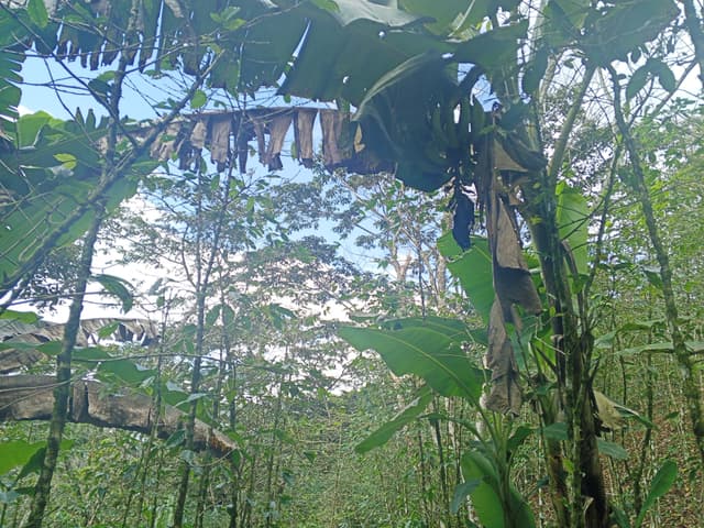 d1698813-3c5b-4381-9f9d-53d74816422d