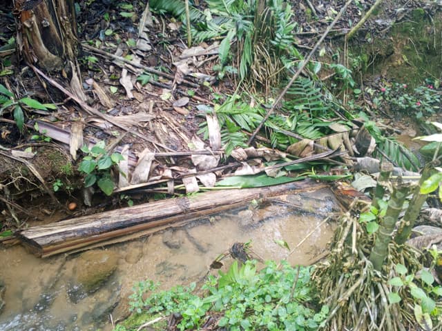 d1698813-3c5b-4381-9f9d-53d74816422d