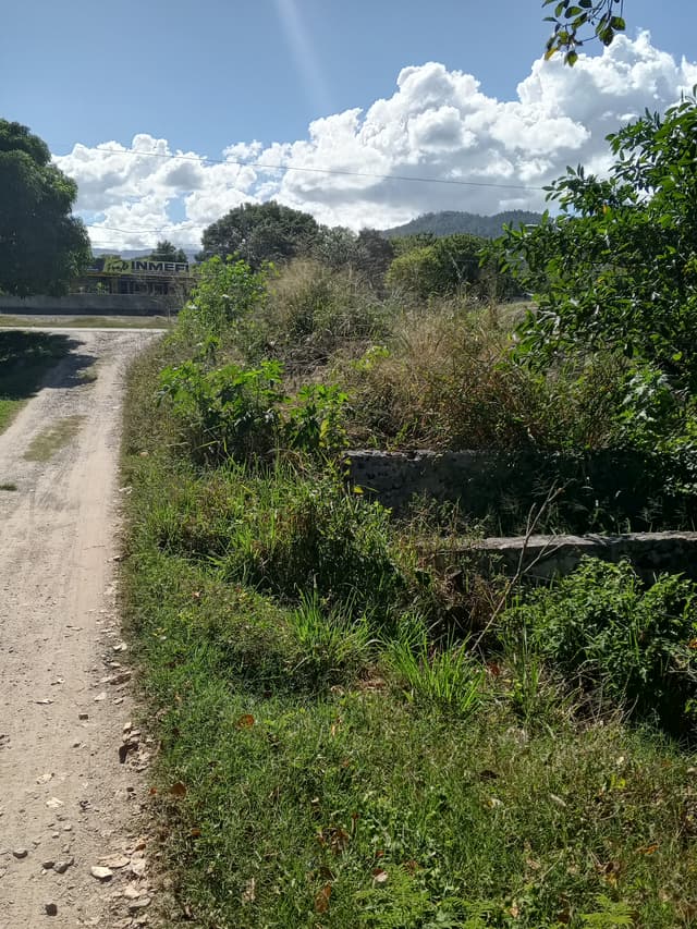 4179bc20-6065-4397-8dd3-af37eea305b4