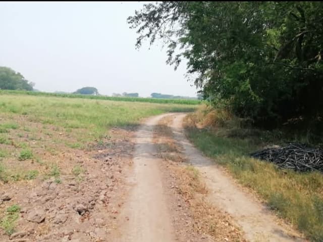 3b3462b4-cd7e-4b6d-80eb-82326d03bb63