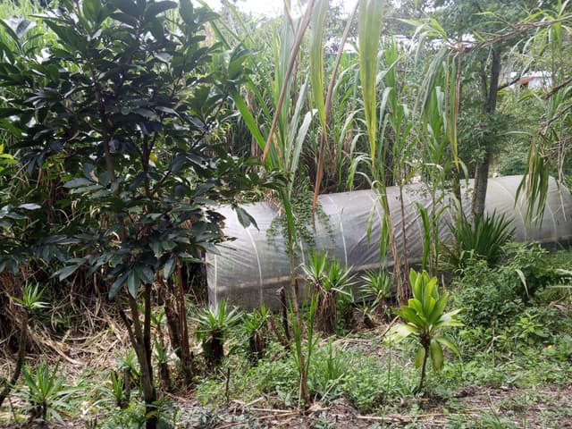 24bf7dde-c307-4029-90d6-17c4ffb11709