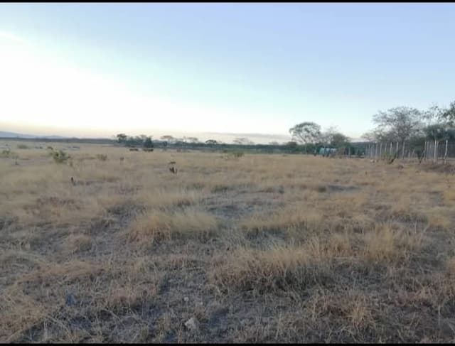 8aa1124f-22ff-4fc0-ae10-401f27d69021