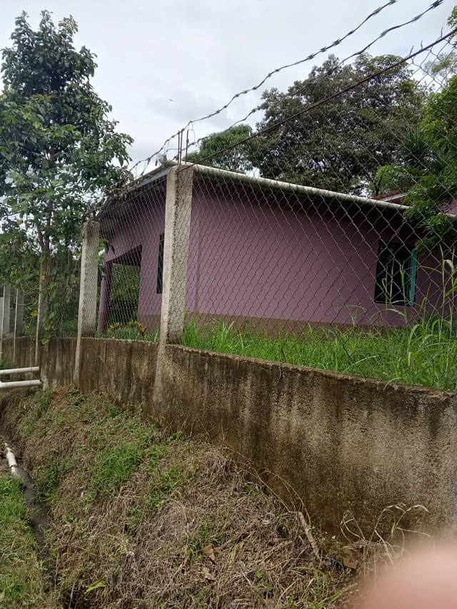 8de47378-f9c8-442d-90e3-7b8c05a44983