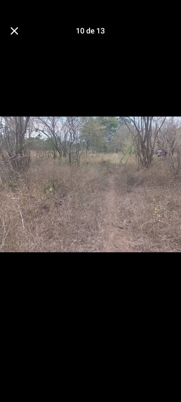 2f7ae37c-2db9-4a36-895c-6fd84ff7913b