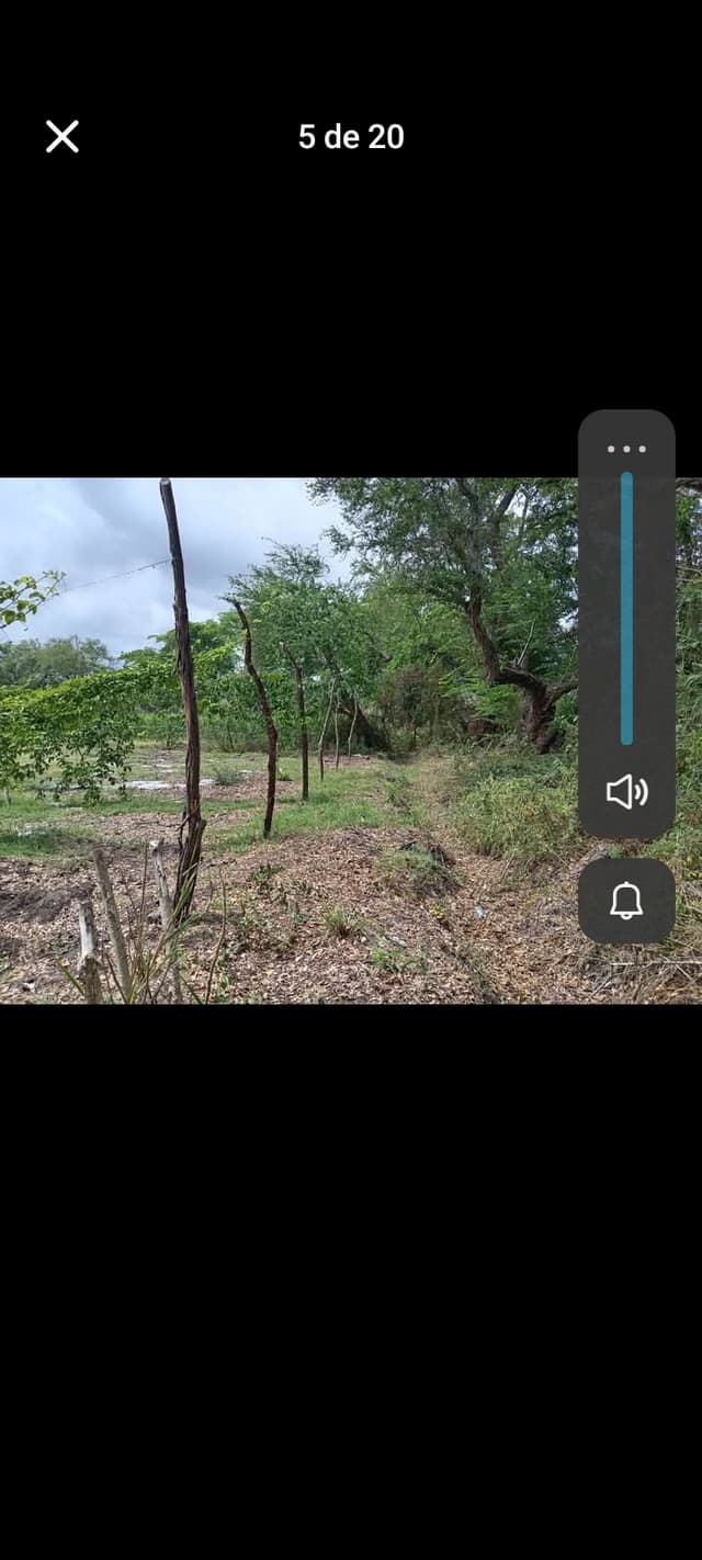 96eb97ac-88e2-40a0-9fff-6c0387370c8f