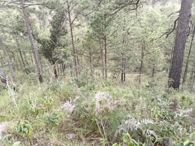 c39f9a37-c294-491c-b9b4-0fbb37a4d3c9