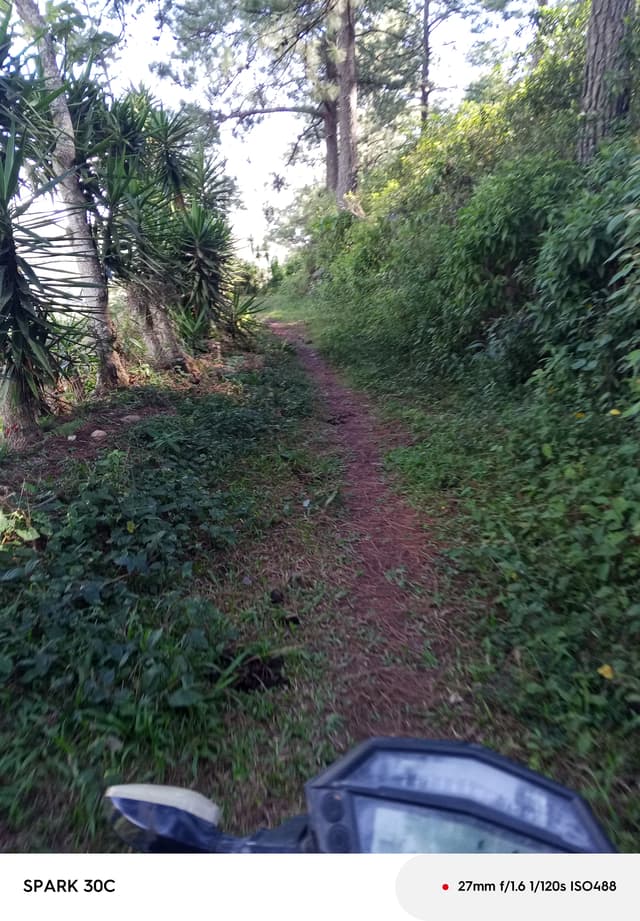 faca1fd7-b093-4602-92a1-867fcd222aee