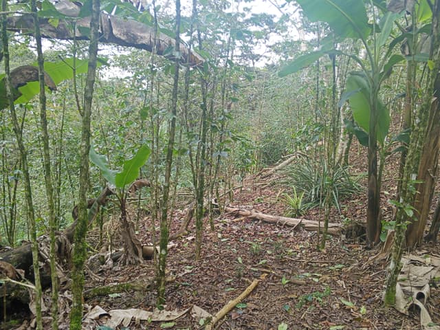 d1698813-3c5b-4381-9f9d-53d74816422d