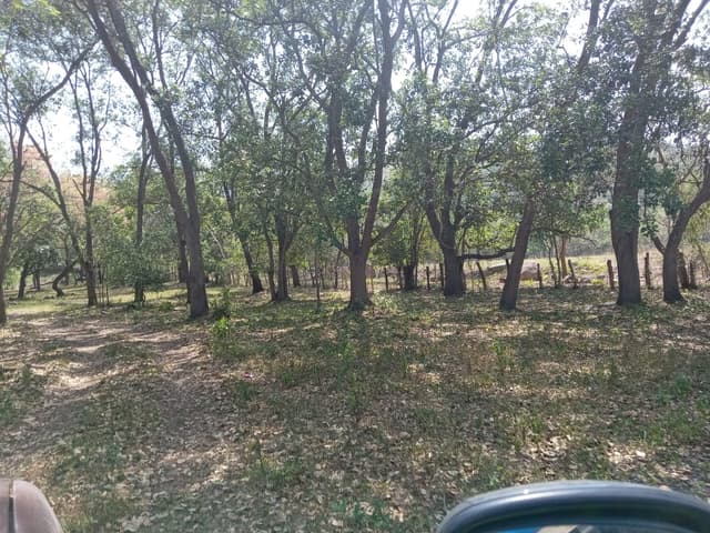 a88f2688-eaf4-4853-90bb-9edaa5b4cb0e