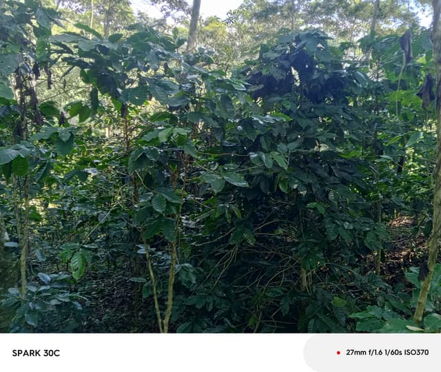 faca1fd7-b093-4602-92a1-867fcd222aee