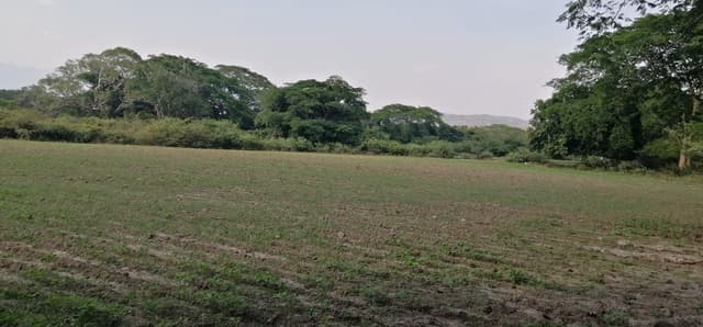 d618040f-f82c-4423-978b-0218a3282bd8