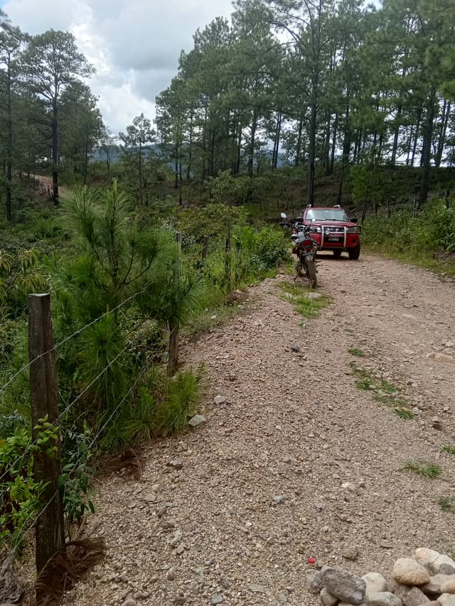 c39f9a37-c294-491c-b9b4-0fbb37a4d3c9