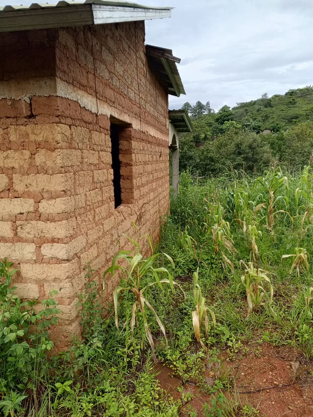 f6e9f76d-dd03-44e0-88f6-e1933ed38359