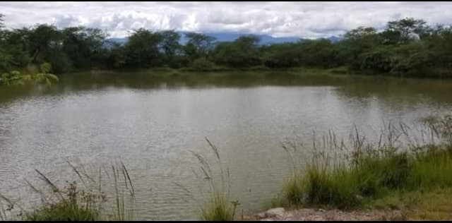 8aa1124f-22ff-4fc0-ae10-401f27d69021