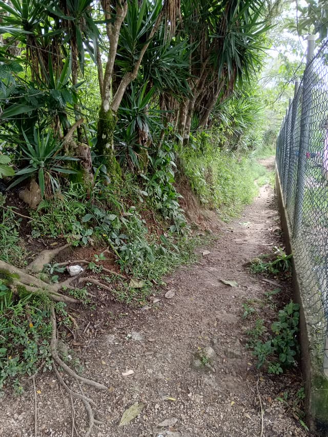 b9816b90-aacb-4330-84b5-32854f21568f