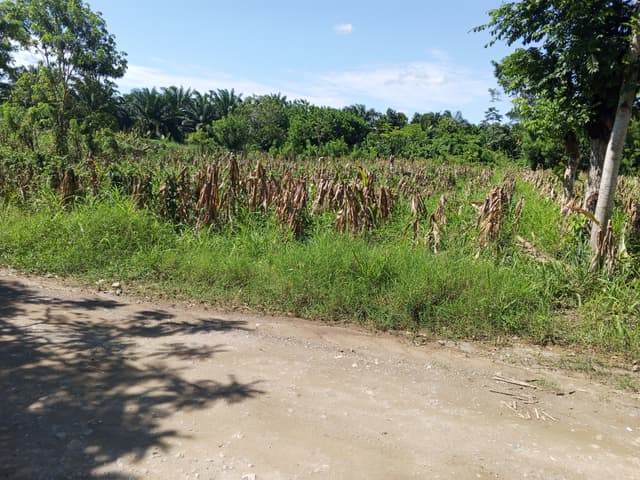 68fc69ce-1dff-4c21-ae42-f6ec6ed10fd3