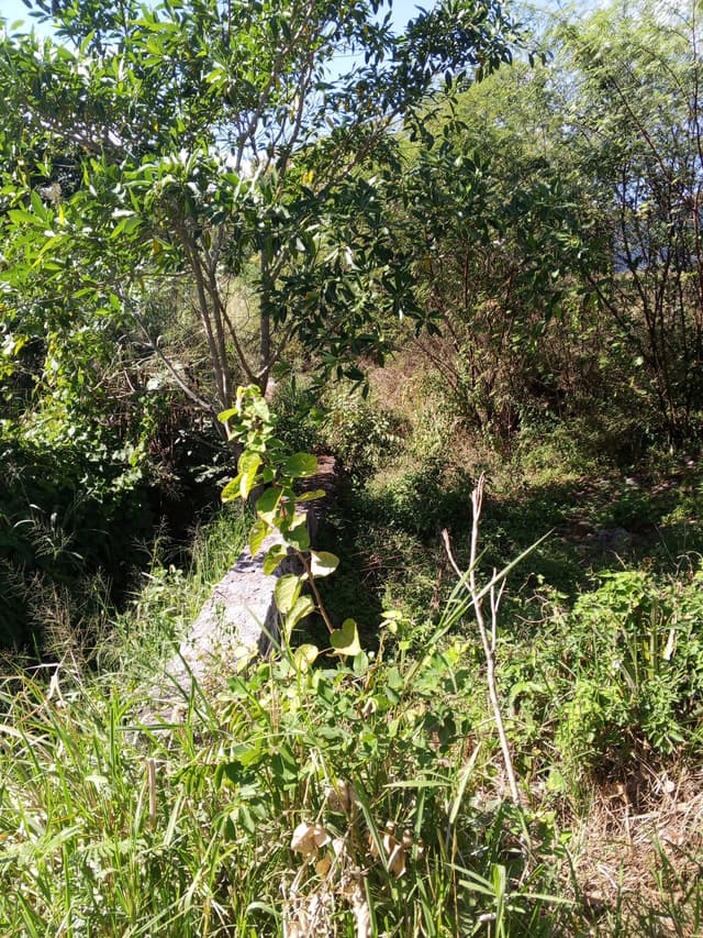 4179bc20-6065-4397-8dd3-af37eea305b4