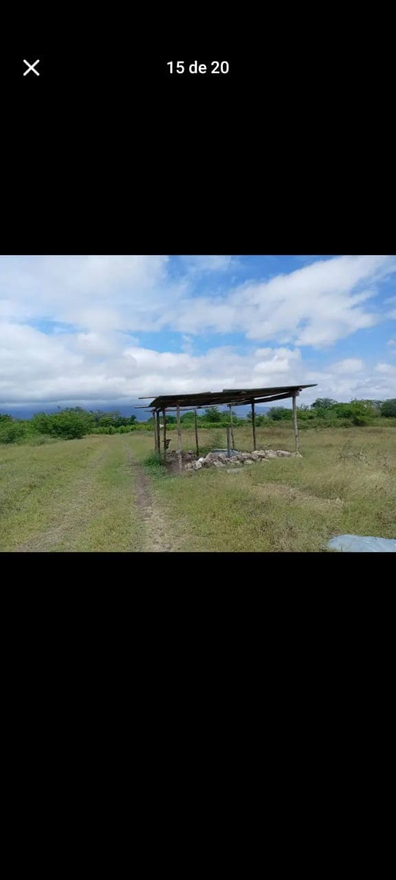 52c0091c-47a0-4383-acf4-c6a7446c358e