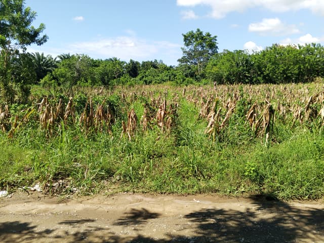 68fc69ce-1dff-4c21-ae42-f6ec6ed10fd3