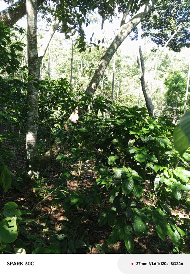 faca1fd7-b093-4602-92a1-867fcd222aee