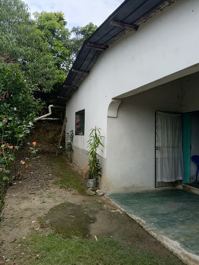 24bf7dde-c307-4029-90d6-17c4ffb11709