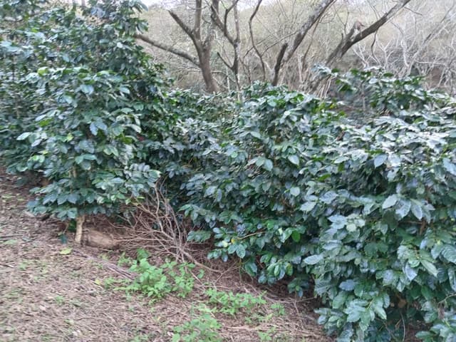 74113378-fc0e-4b8f-acfb-0369c97bae65