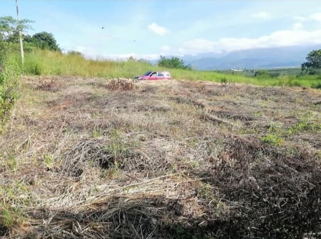 e84c438b-30bf-4e57-9fb2-1828fed3060b