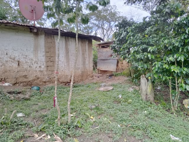 b9816b90-aacb-4330-84b5-32854f21568f