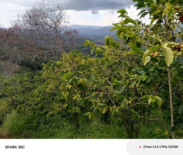 6ca05cf4-21ae-41b5-a167-21b771679032