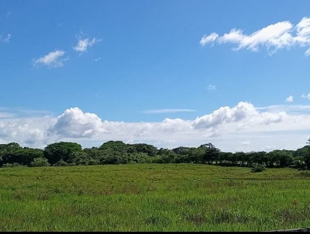 b75734cb-9398-41b0-a5fd-671e722a5b2d