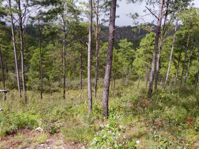 c39f9a37-c294-491c-b9b4-0fbb37a4d3c9