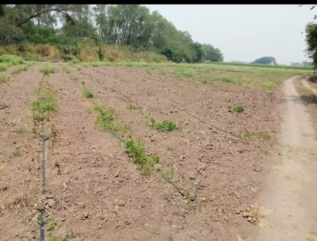 3b3462b4-cd7e-4b6d-80eb-82326d03bb63