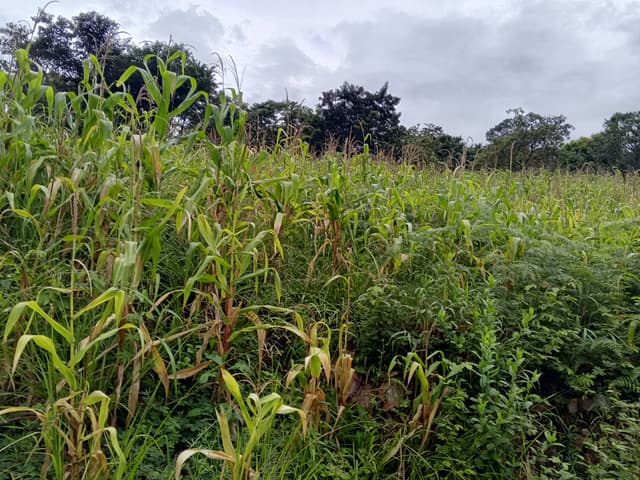 f6e9f76d-dd03-44e0-88f6-e1933ed38359