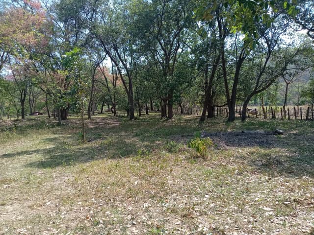 a88f2688-eaf4-4853-90bb-9edaa5b4cb0e