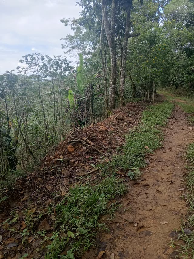 d1698813-3c5b-4381-9f9d-53d74816422d