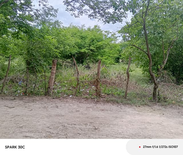 9cec9bf1-ce6d-434d-9f4c-3c2e4018ddea